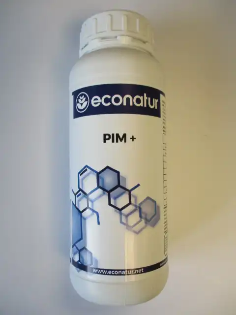 PIM