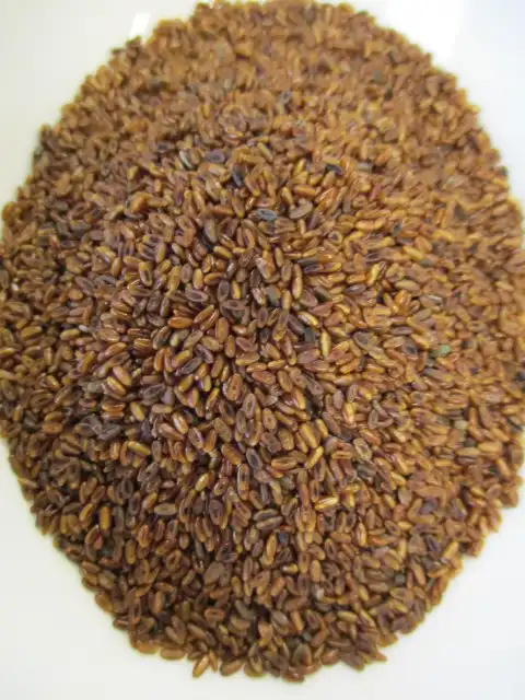 PLANTAIN