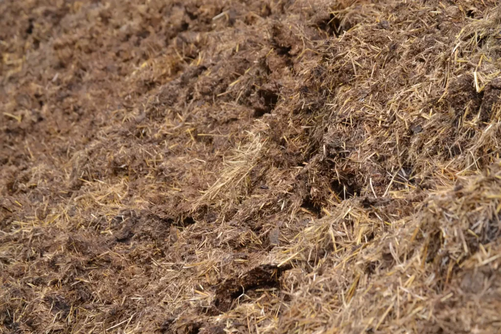 Compost