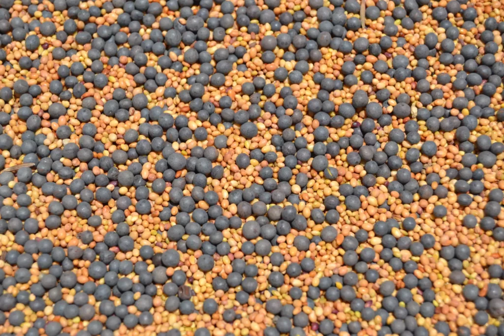Mélanges