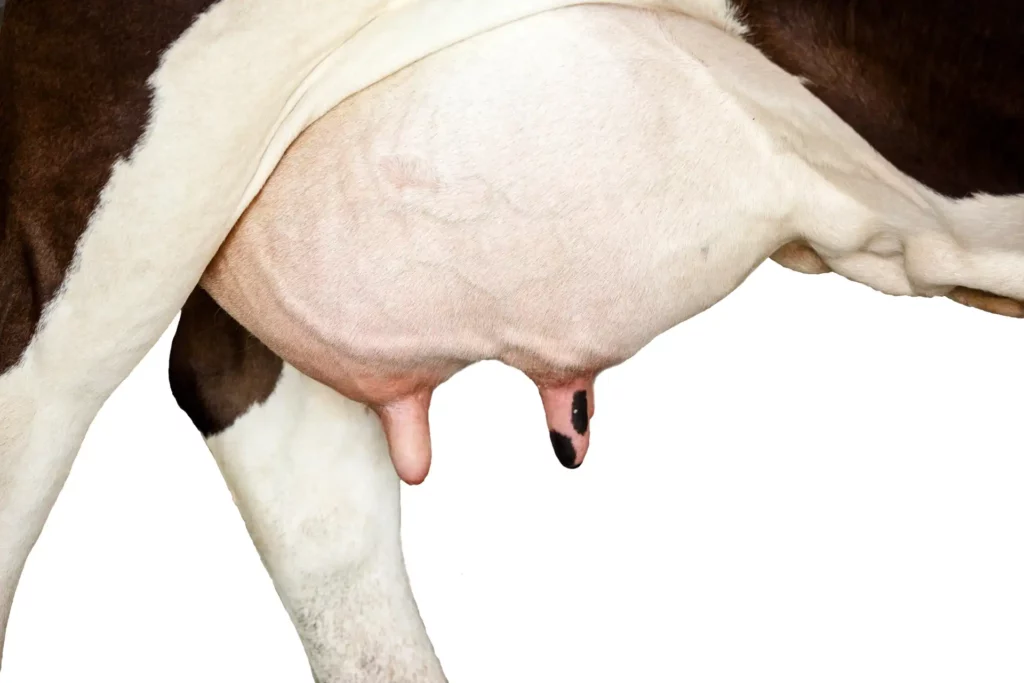 Hygiène